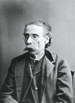 Portrait of Camilo Castelo Branco, 19th-century Portuguese novelist